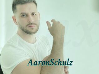 AaronSchulz Maxi Top Sexe