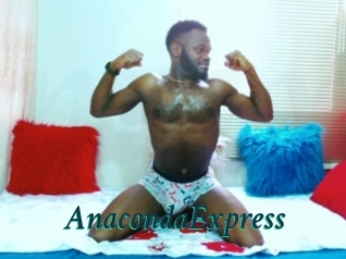 AnacondaExpress