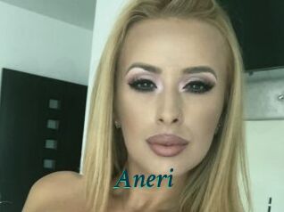 Aneri