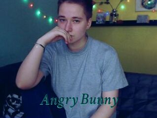 Angry_Bunny