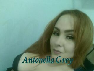 Antonella_Grey