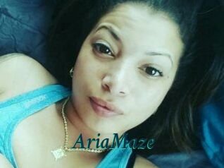 Aria_Maze