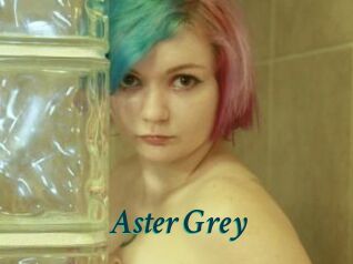 Aster_Grey