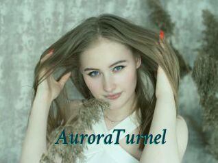 AuroraTurnel