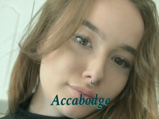 Accabodge