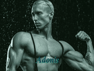 Adonis