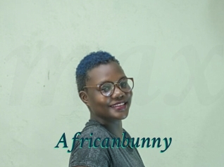 Africanbunny