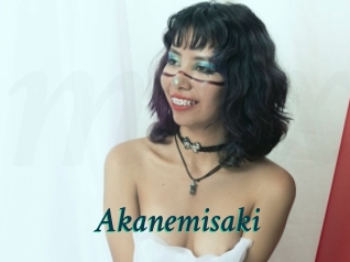 Akanemisaki