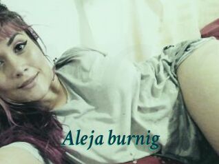 Aleja_burnig