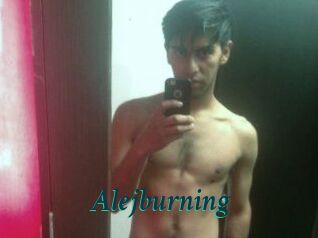 Alejburning