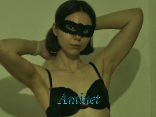 Aminet