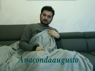 Anacondaaugusto