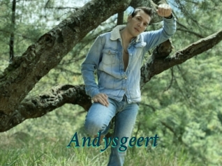 Andysgeert