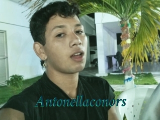 Antonellaconors