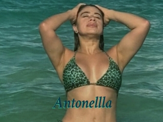 Antonellla