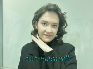 Antoniacavell