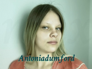 Antoniadumford