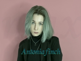 Antoniafinch