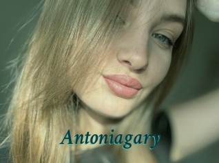 Antoniagary