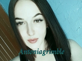 Antoniagrimble