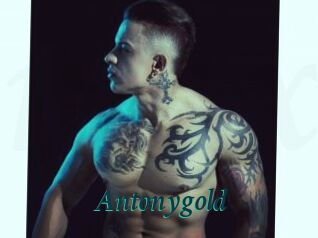 Antonygold