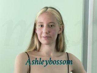 Ashleybossom