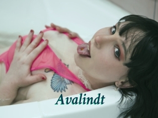 avalindt Maxi Top Sexe
