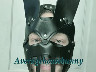 Averagehousebunny