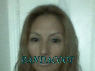 BANDACOOT
