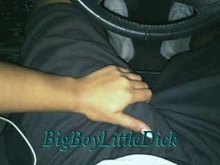 BigBoyLittleDick