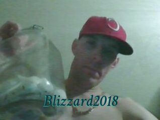 Blizzard2018