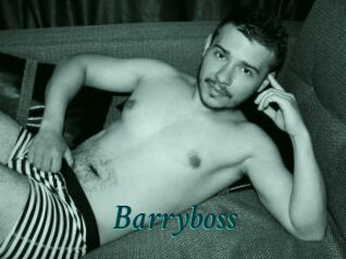 Barryboss