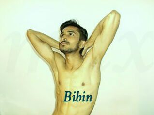 Bibin