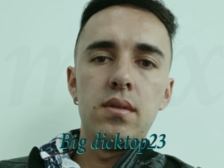 Big_dicktop23