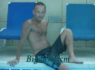 Bigdick22cm