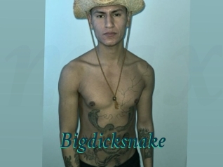 Bigdicksnake