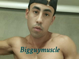 Bigguymuscle