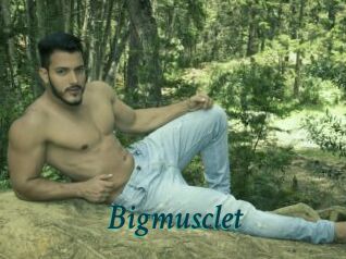 Bigmusclet