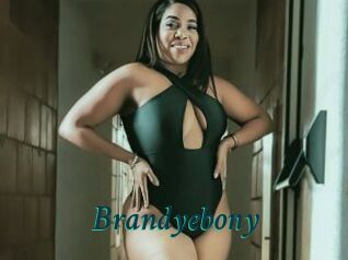 Brandyebony