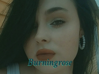 Burningrose