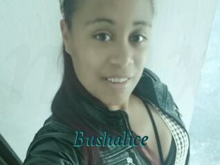 Bushalice