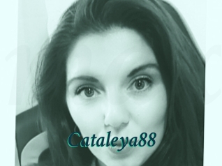 Cataleya88