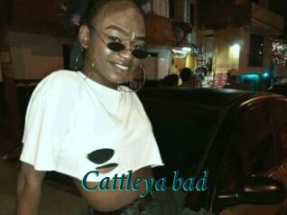 Cattleya_bad