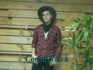 Conall_Hawk