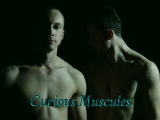 Curious_Muscules