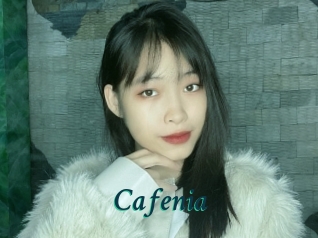 Cafenia