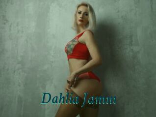 Dahlia_Jamm