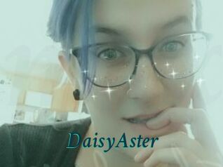 DaisyAster