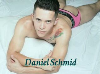 Daniel_Schmid