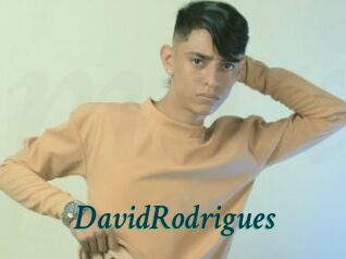 DavidRodrigues